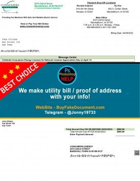Iowa Consumers Energy utility bill Sample Fake utility bill